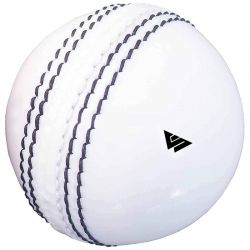 White Cricket Ball