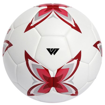 Soccer Match Ball